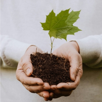 What Is Waqf? The Islamic Tradition of Sustainable Charity